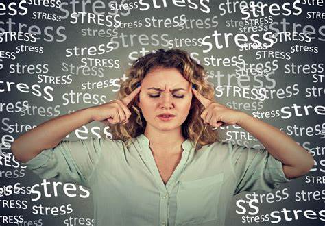                                <strong>The basics of stress </strong>