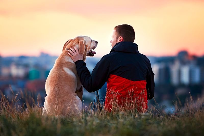 pet and owner pet care